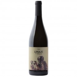 Linaje del Pago tinto...